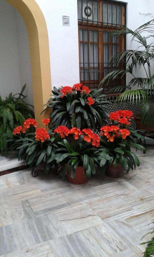 Cordoba Centro Esencia Cordobesa. Mezquitaアパートメント エクステリア 写真